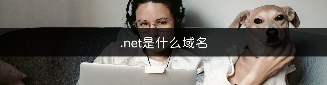 .net是什么域名