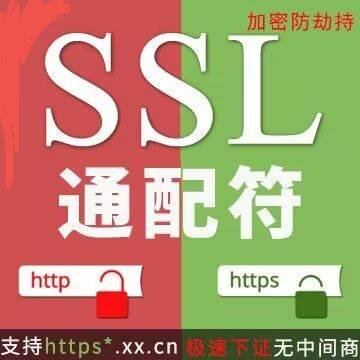SSL通配符证书一年